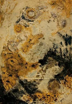Marianne Dillmann: Desierto.