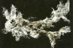 Marianne Dillmann: Isla I.