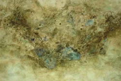 Marianne Dillmann: Senderos al Pasado.